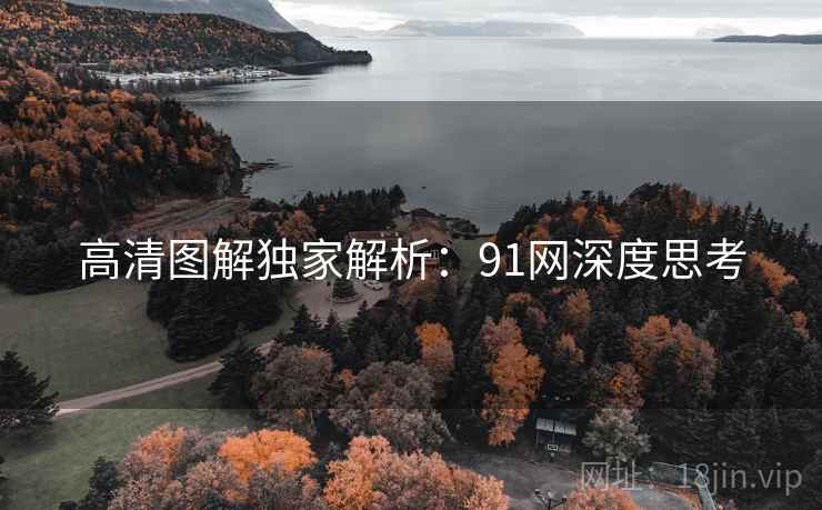 高清图解独家解析：91网深度思考
