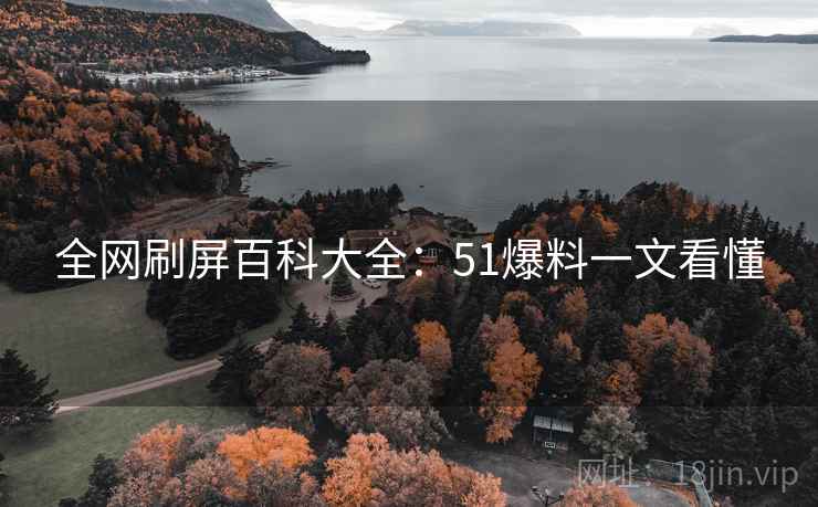 全网刷屏百科大全：51爆料一文看懂