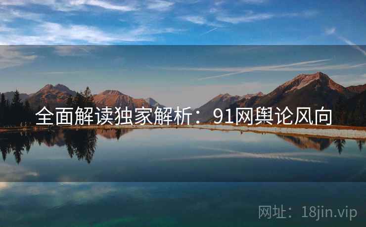 全面解读独家解析：91网舆论风向