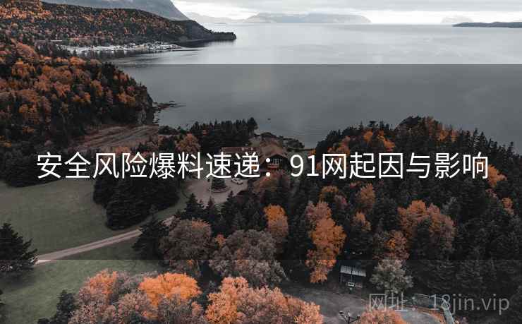 安全风险爆料速递：91网起因与影响