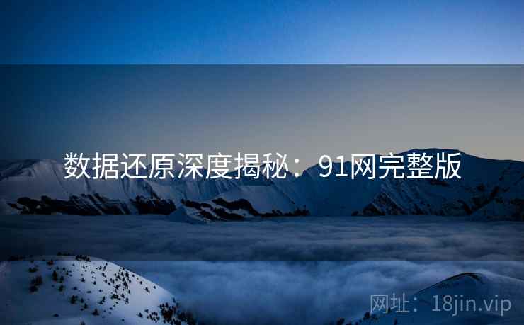 数据还原深度揭秘：91网完整版