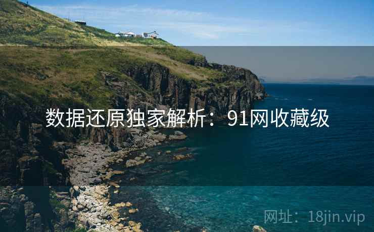 数据还原独家解析：91网收藏级