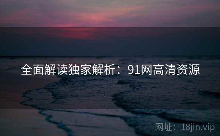 全面解读独家解析：91网高清资源